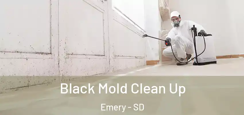  Black Mold Clean Up Emery - SD