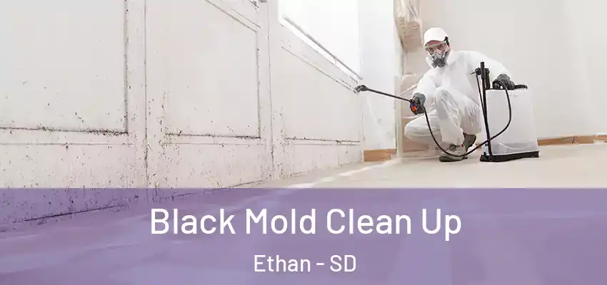 Black Mold Clean Up Ethan - SD