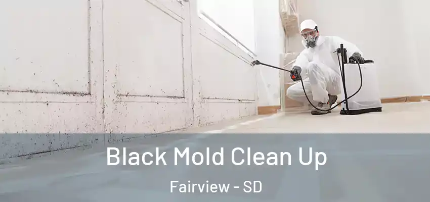 Black Mold Clean Up Fairview - SD