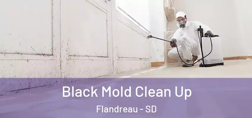  Black Mold Clean Up Flandreau - SD