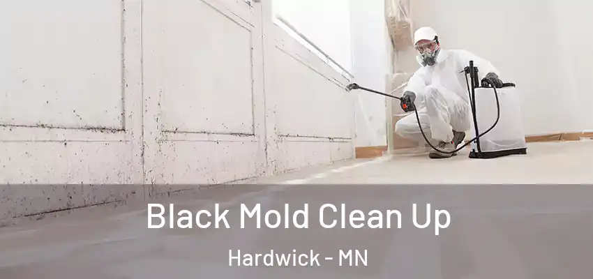 Black Mold Clean Up Hardwick - MN