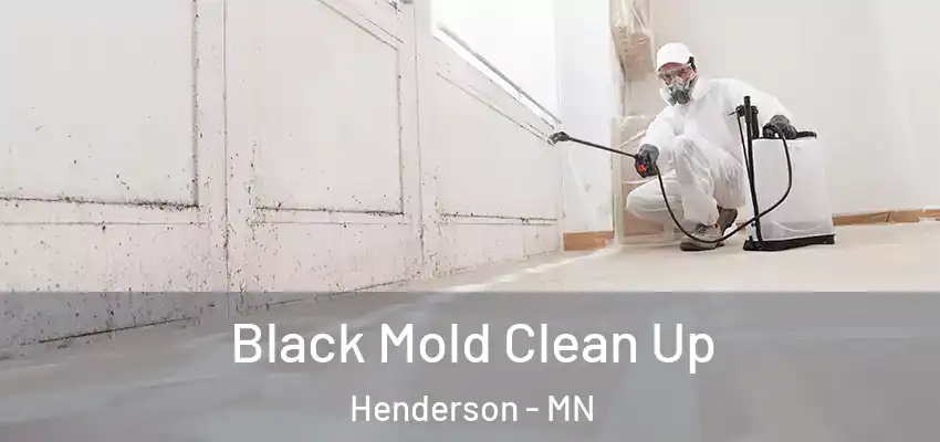  Black Mold Clean Up Henderson - MN