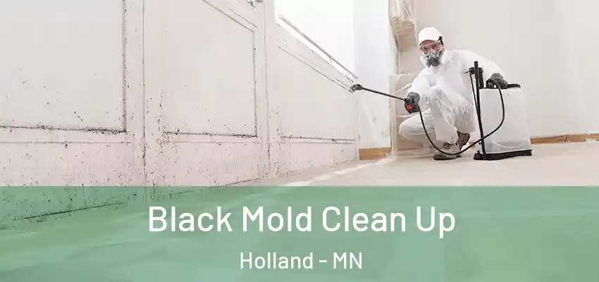 Black Mold Clean Up Holland - MN