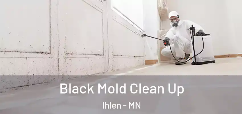  Black Mold Clean Up Ihlen - MN