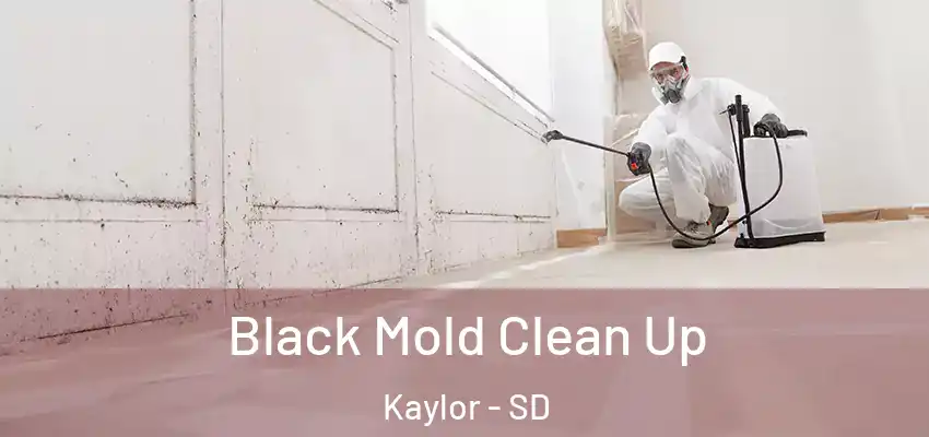 Black Mold Clean Up Kaylor - SD