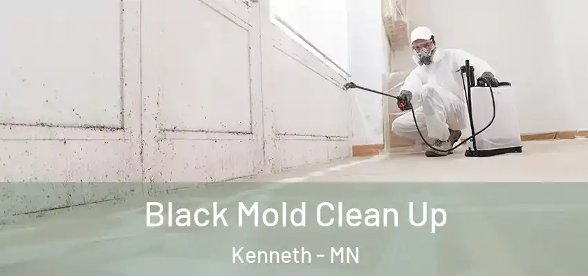  Black Mold Clean Up Kenneth - MN