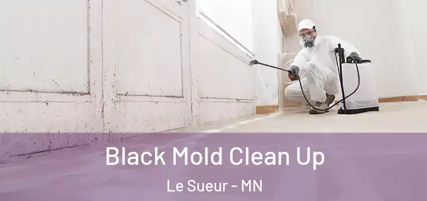 Black Mold Clean Up Le Sueur - MN