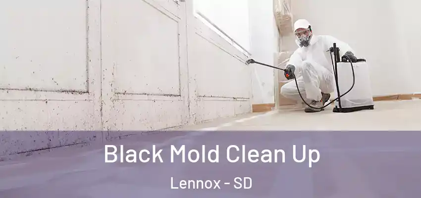  Black Mold Clean Up Lennox - SD