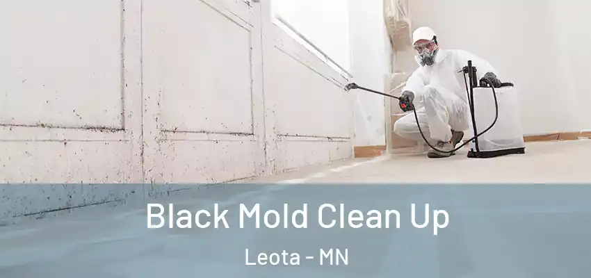  Black Mold Clean Up Leota - MN