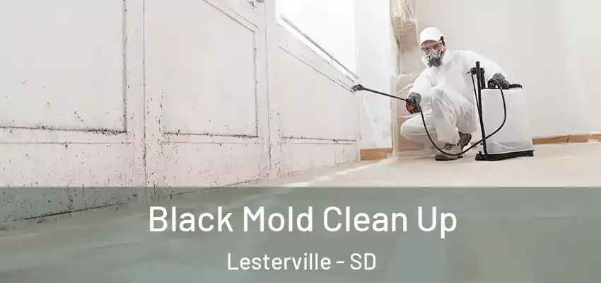  Black Mold Clean Up Lesterville - SD