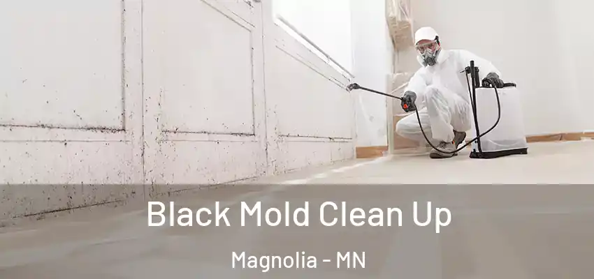Black Mold Clean Up Magnolia - MN
