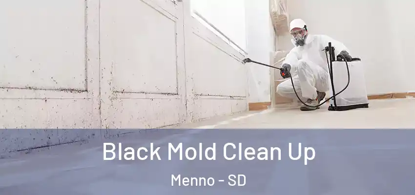 Black Mold Clean Up Menno - SD