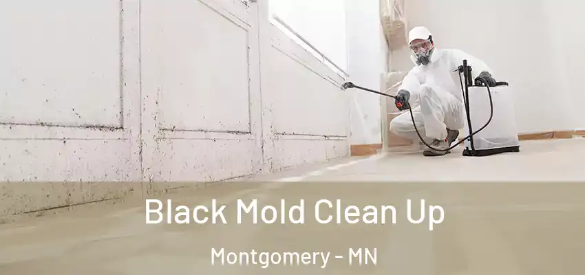 Black Mold Clean Up Montgomery - MN