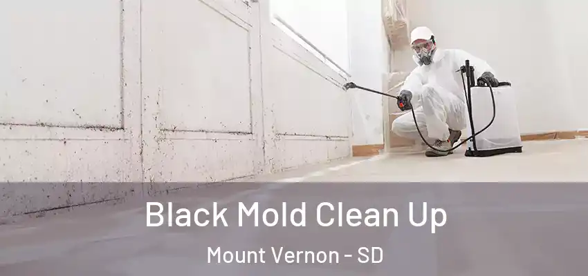  Black Mold Clean Up Mount Vernon - SD