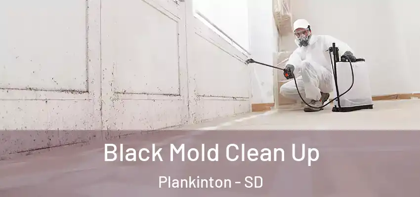  Black Mold Clean Up Plankinton - SD