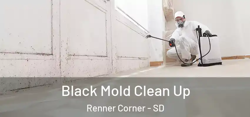  Black Mold Clean Up Renner Corner - SD
