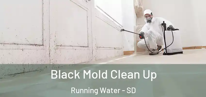  Black Mold Clean Up Running Water - SD
