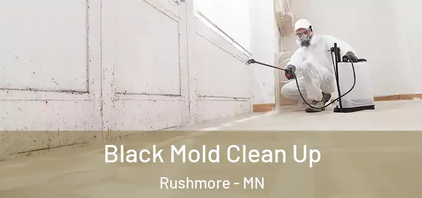 Black Mold Clean Up Rushmore - MN