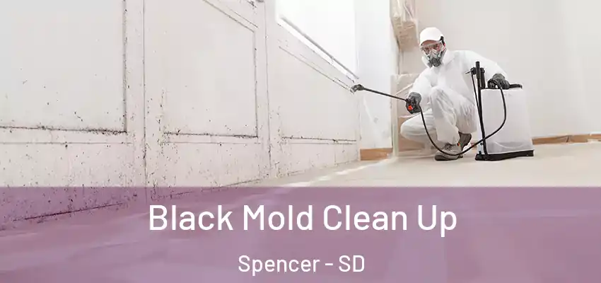  Black Mold Clean Up Spencer - SD
