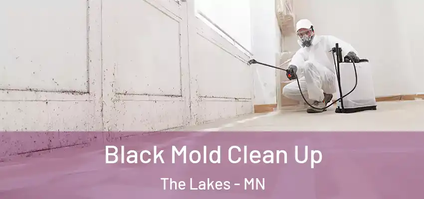  Black Mold Clean Up The Lakes - MN
