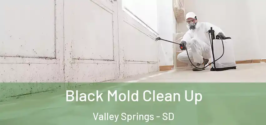 Black Mold Clean Up Valley Springs - SD