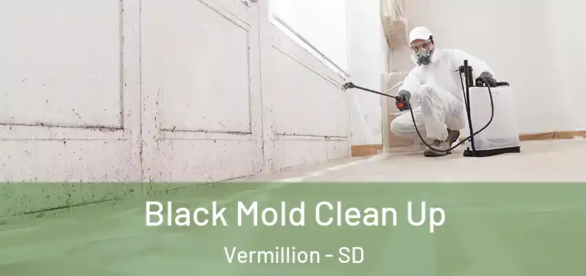 Black Mold Clean Up Vermillion - SD