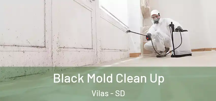  Black Mold Clean Up Vilas - SD