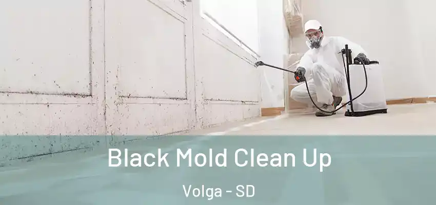 Black Mold Clean Up Volga - SD
