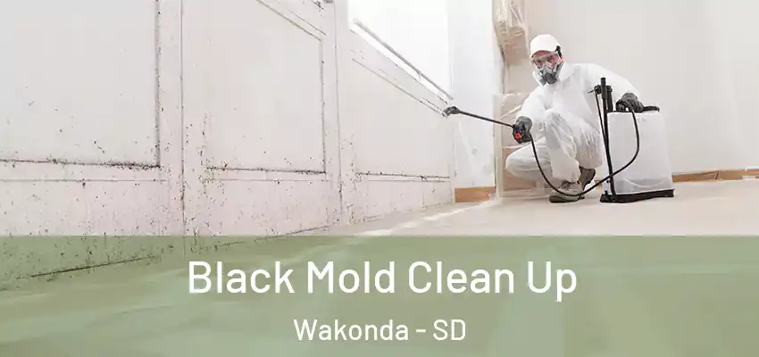 Black Mold Clean Up Wakonda - SD