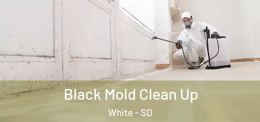 Black Mold Clean Up White - SD