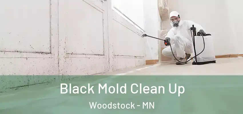 Black Mold Clean Up Woodstock - MN