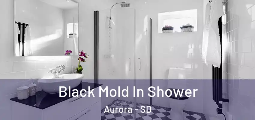 Black Mold In Shower Aurora - SD