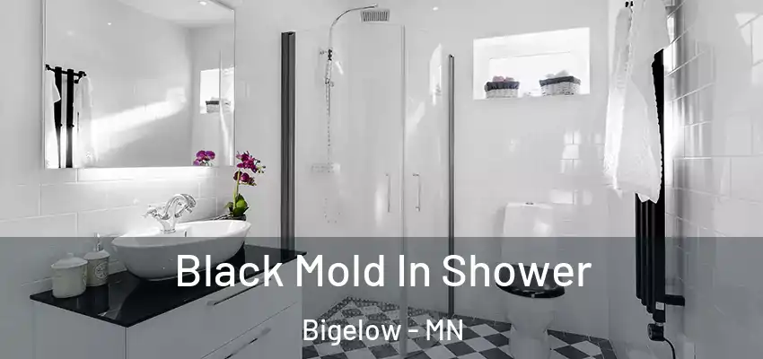  Black Mold In Shower Bigelow - MN