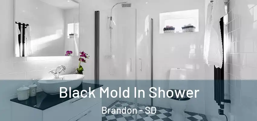 Black Mold In Shower Brandon - SD