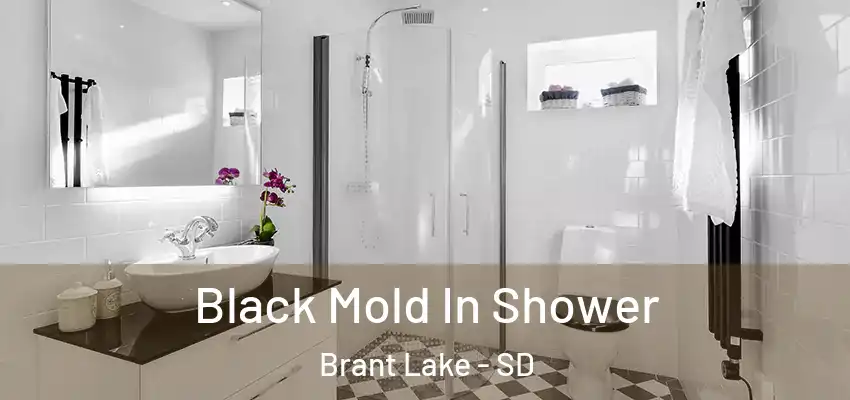  Black Mold In Shower Brant Lake - SD