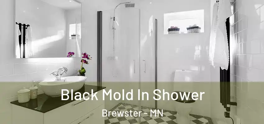  Black Mold In Shower Brewster - MN