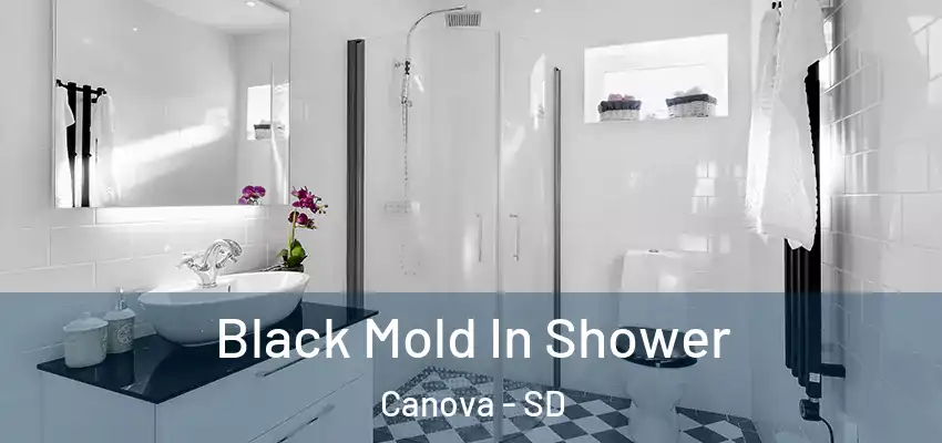 Black Mold In Shower Canova - SD