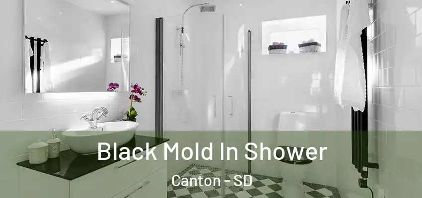 Black Mold In Shower Canton - SD