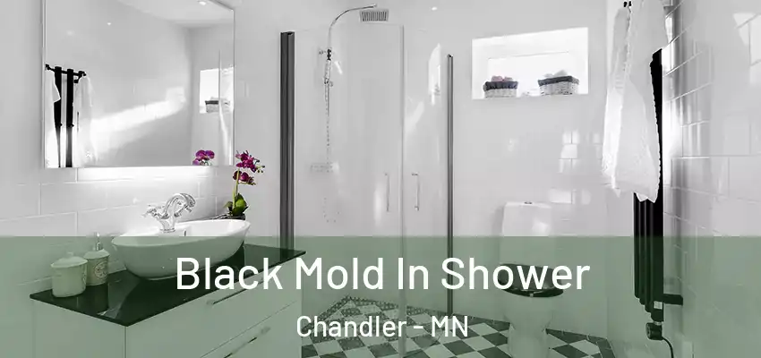  Black Mold In Shower Chandler - MN