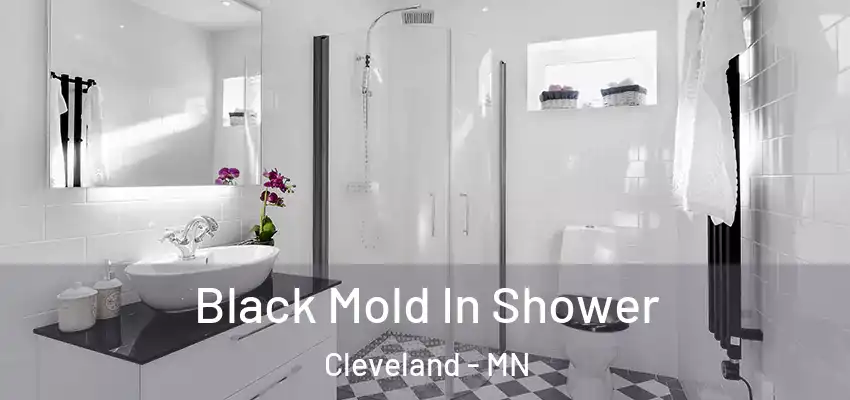  Black Mold In Shower Cleveland - MN