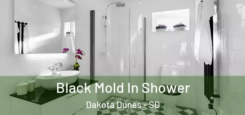  Black Mold In Shower Dakota Dunes - SD