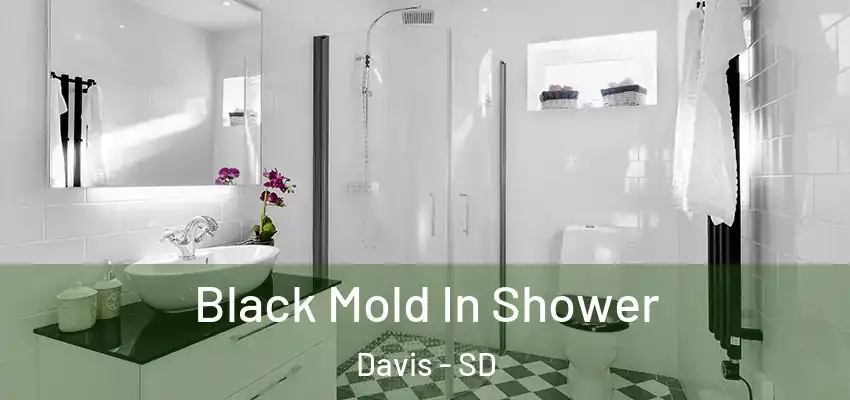  Black Mold In Shower Davis - SD