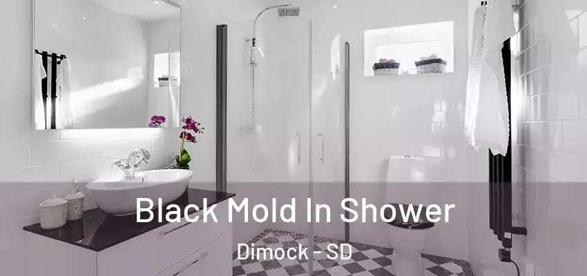  Black Mold In Shower Dimock - SD