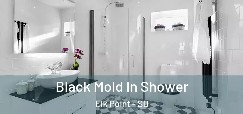 Black Mold In Shower Elk Point - SD