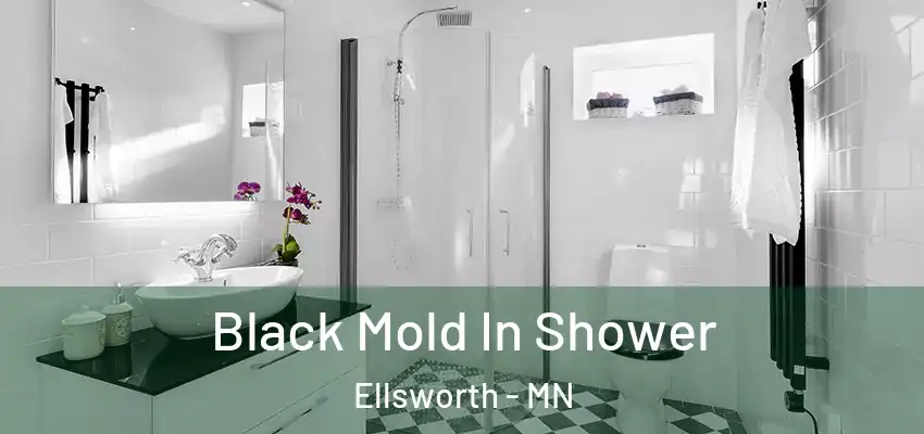  Black Mold In Shower Ellsworth - MN
