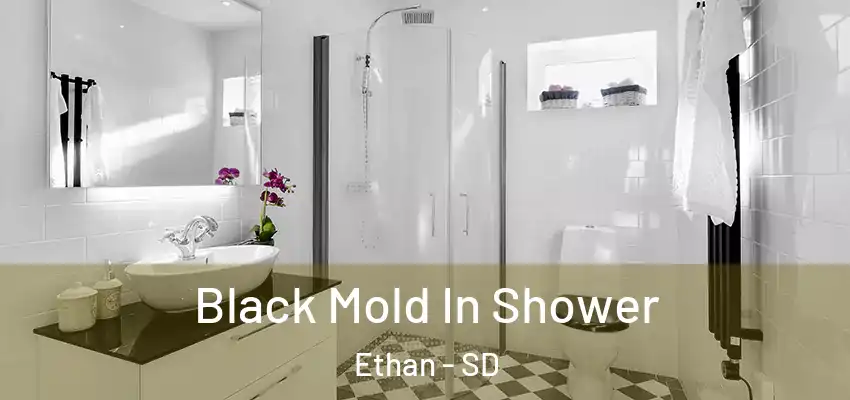 Black Mold In Shower Ethan - SD