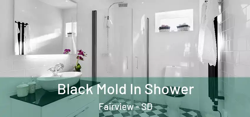 Black Mold In Shower Fairview - SD