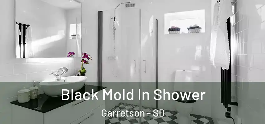  Black Mold In Shower Garretson - SD