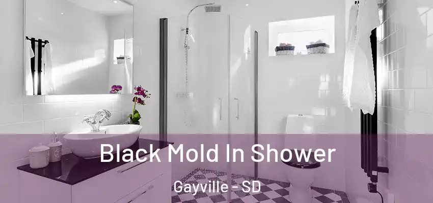  Black Mold In Shower Gayville - SD