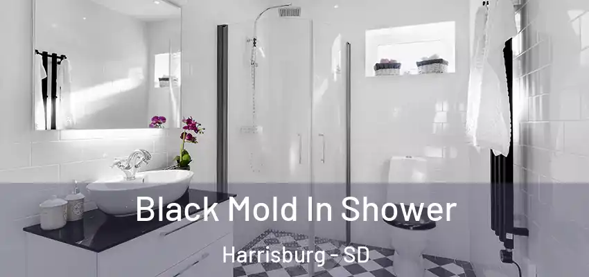 Black Mold In Shower Harrisburg - SD